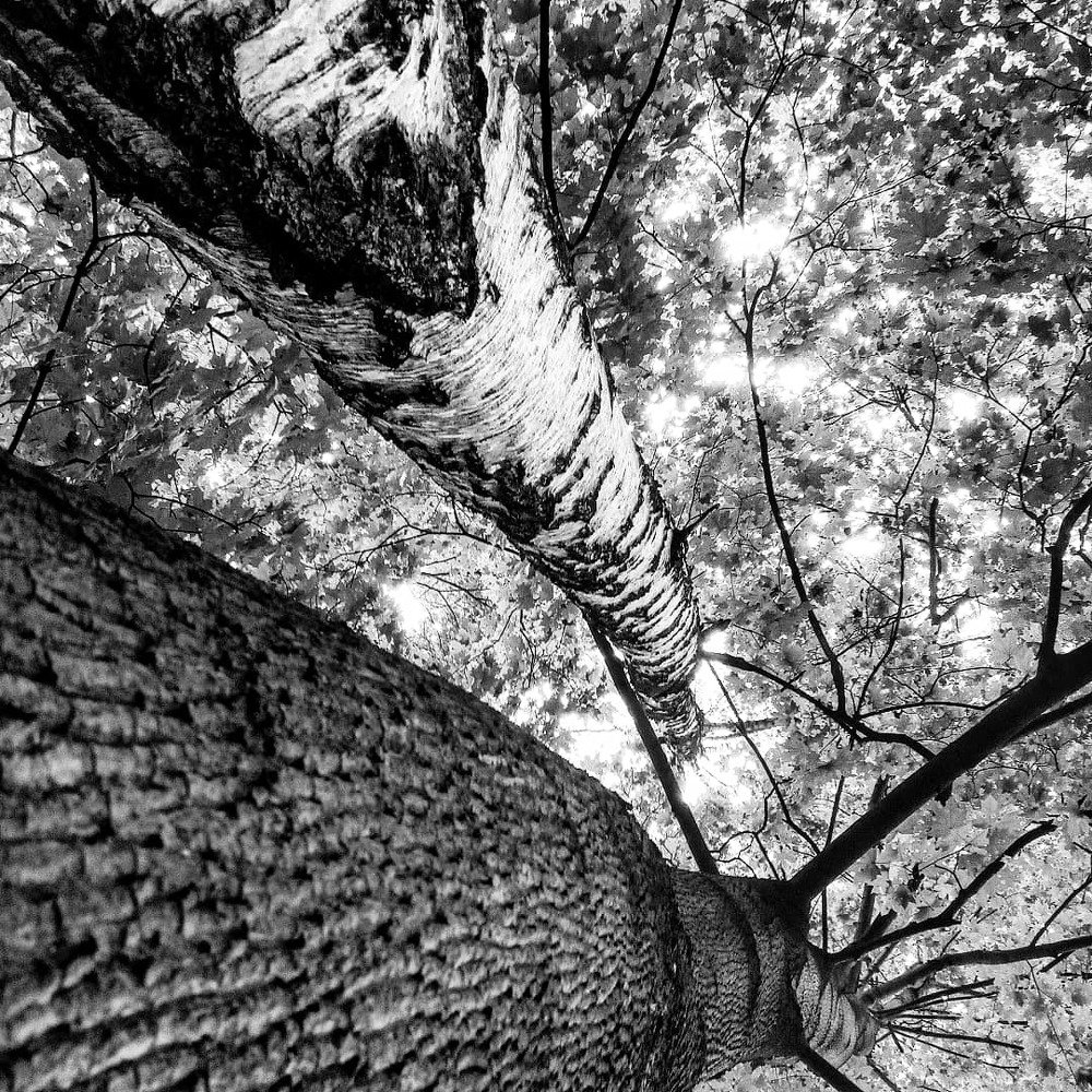 Photograph by Александр Лабутин