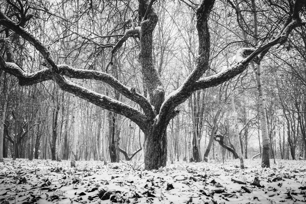 Photograph by Aliaksei Shandalin