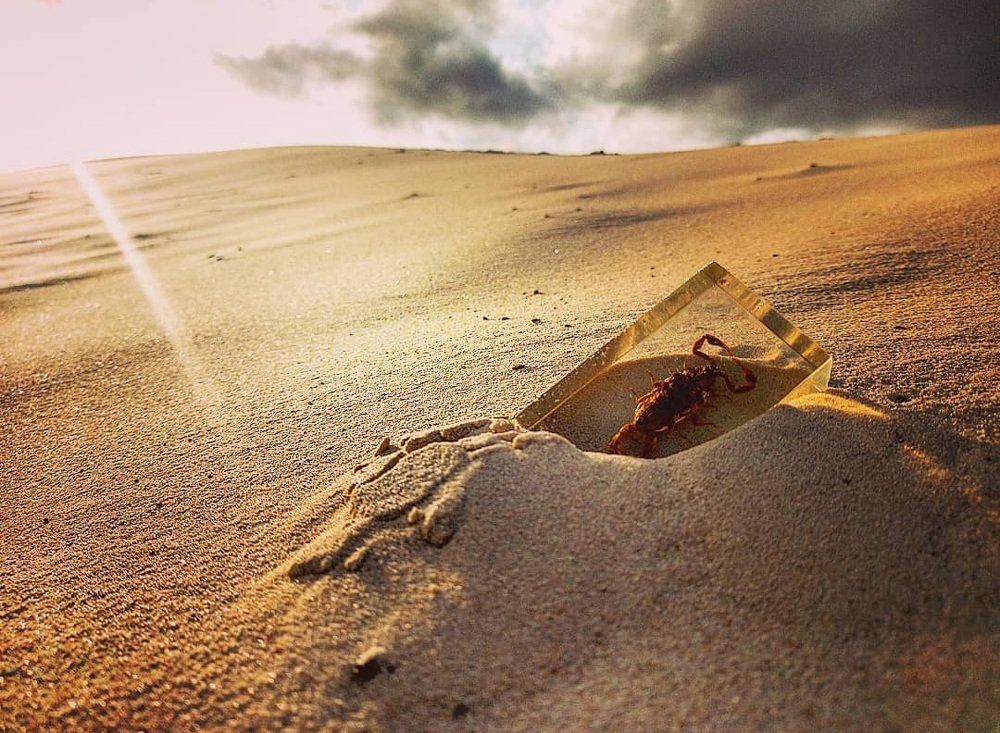 Photograph by Александр Лабутин