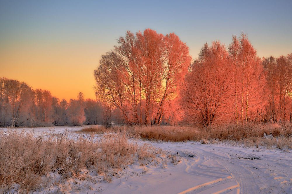 Photograph by Владимир Малевич