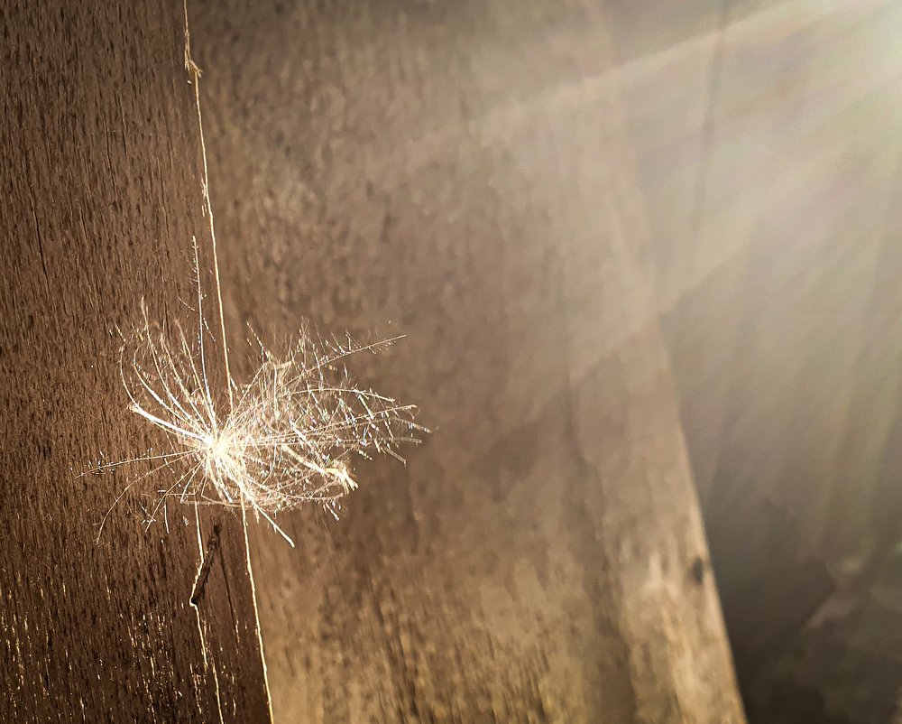 Photograph by Анастасия