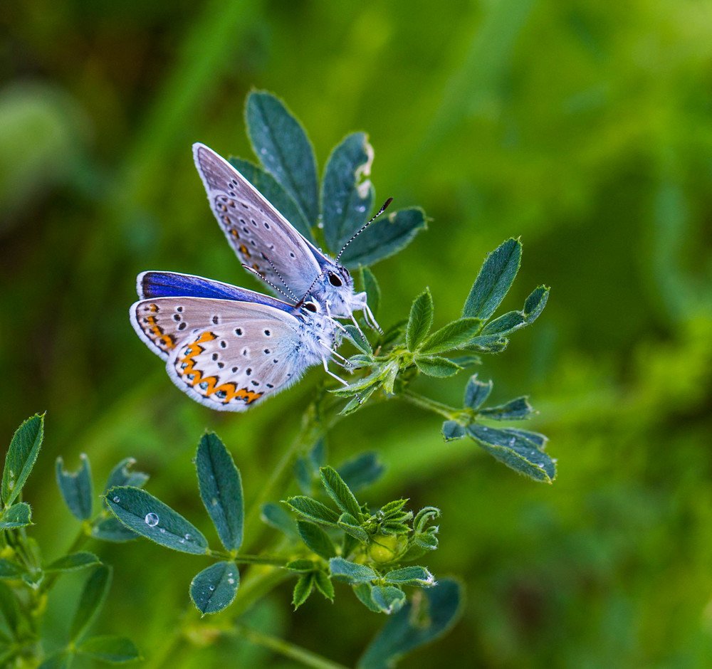 Фотография автора Сергей Машонкин