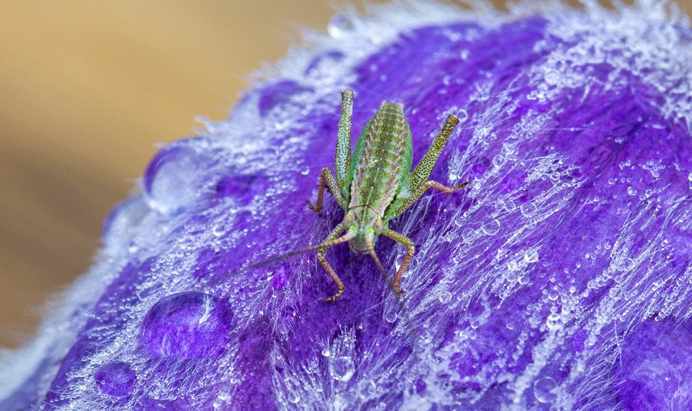 Photograph by Сергей Машонкин