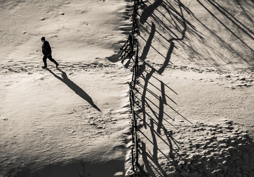 Фотография автора Comșa Bogdan