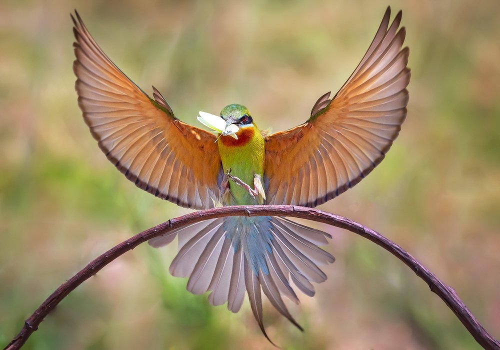 Photograph by Phạm Phùng