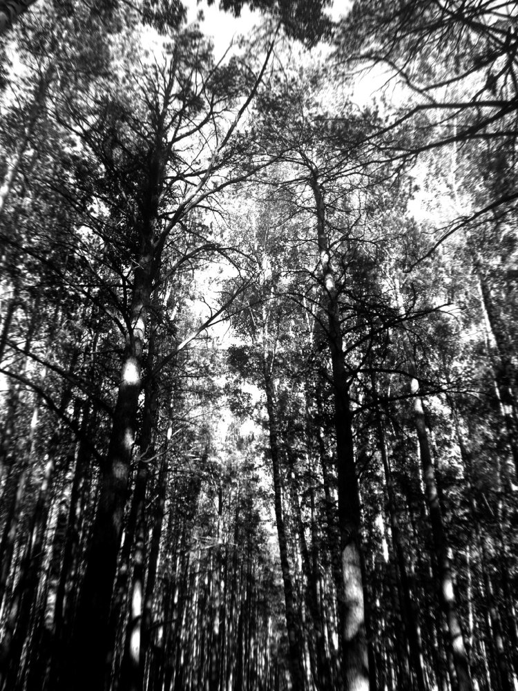 Photograph by Дарья Иванова