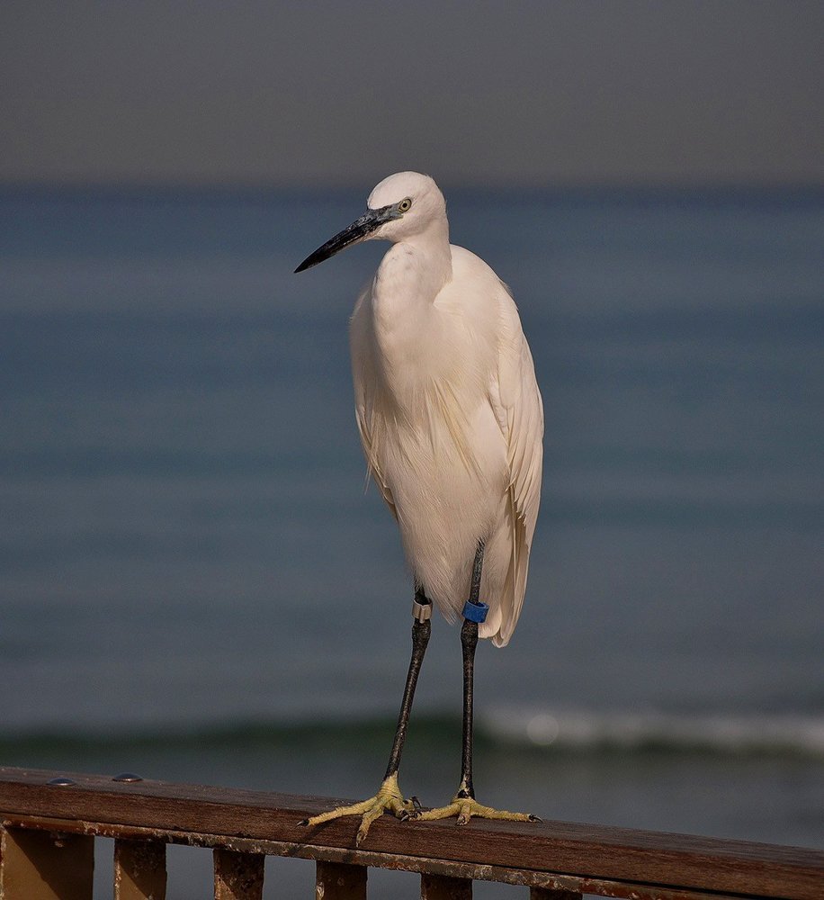 Photograph by Яков