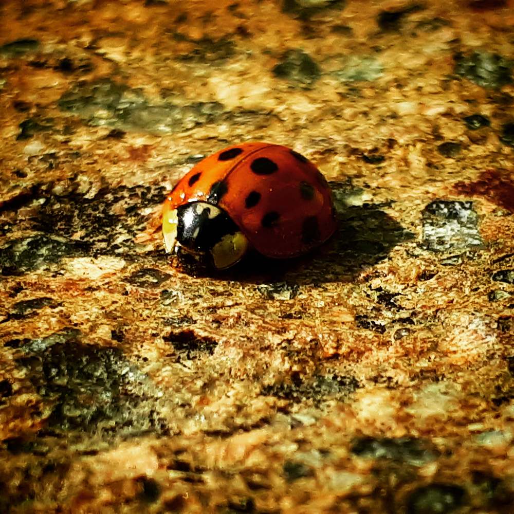 Photograph by Annalisa Fioretti