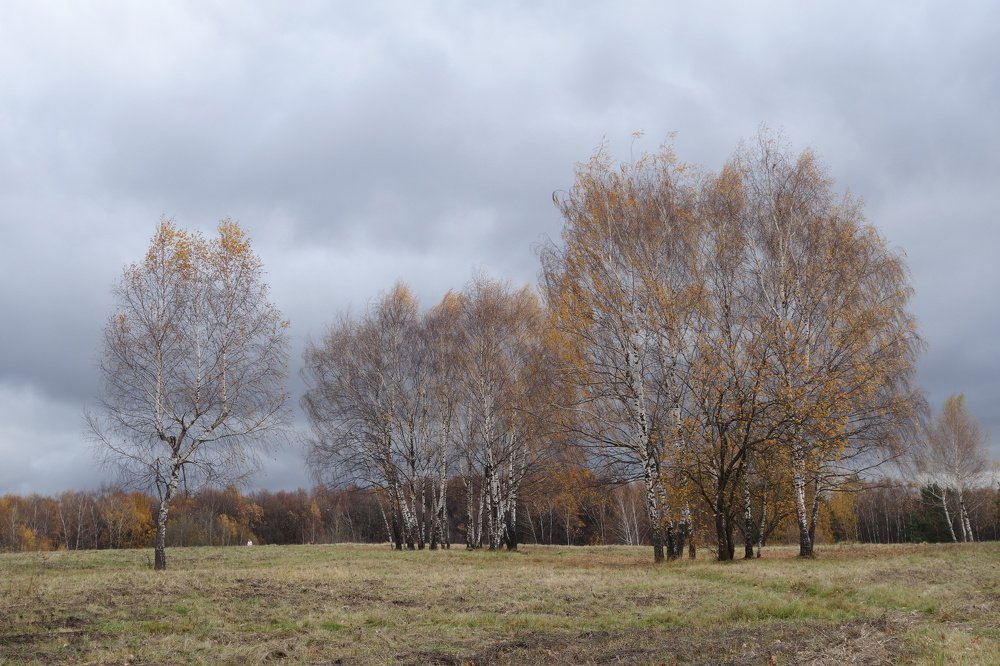 октябрьская акварель