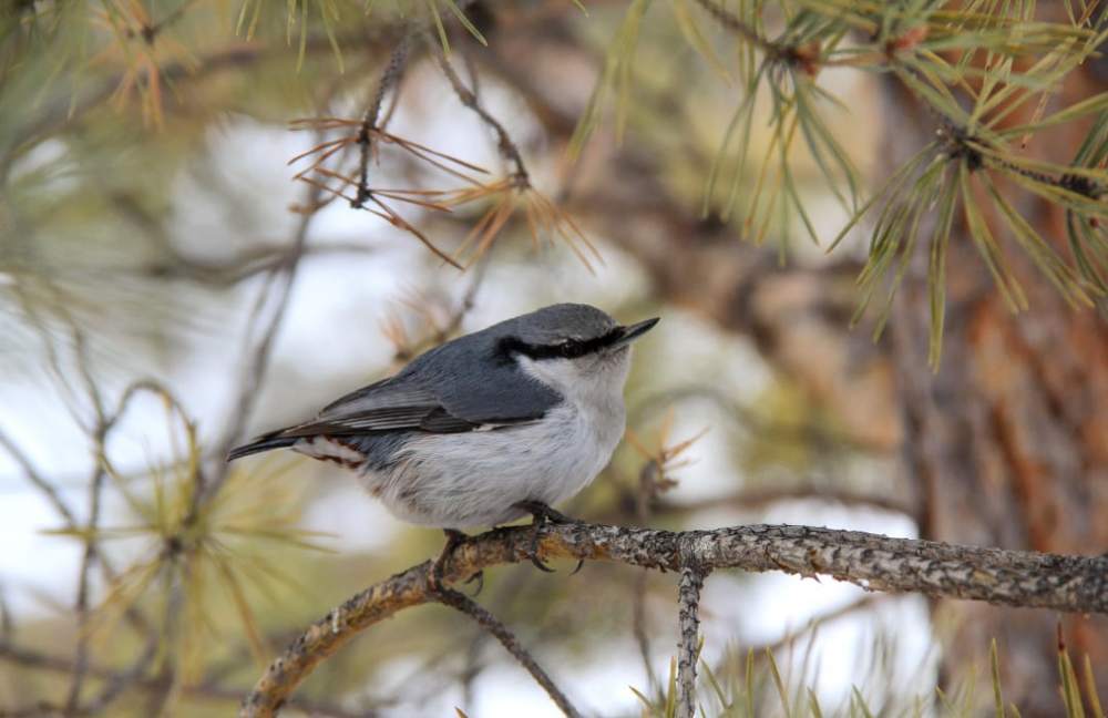 Photograph by Эльза Крюкова