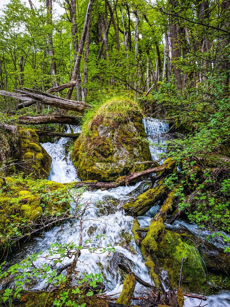 Naturaleza Pura ♻ Pura Naturaleza
