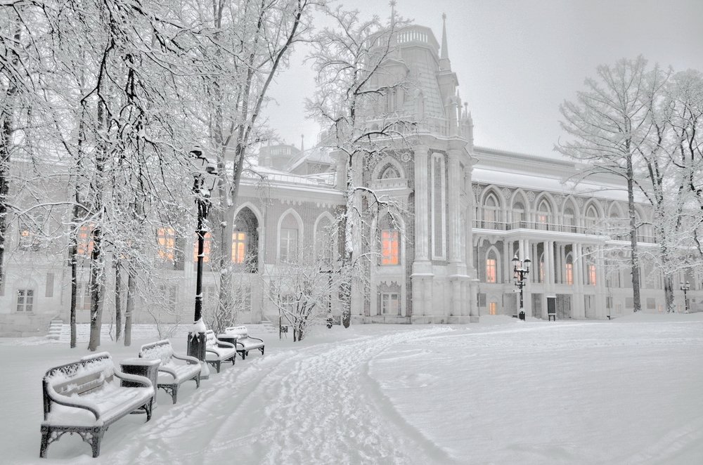 Утро после снегопада