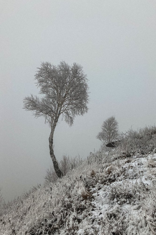 Photograph by Мария Тарнавская