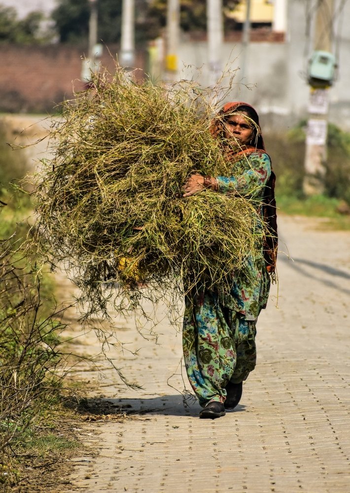 Photograph by AJAY KUMAR