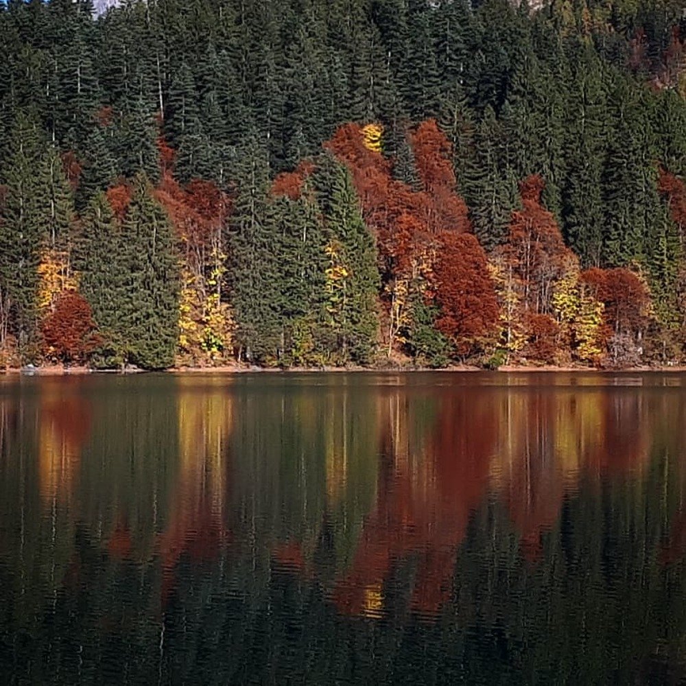 Photograph by Annalisa Fioretti