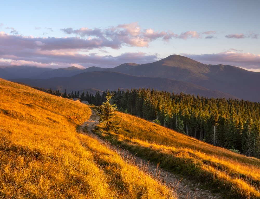 Photograph by Алексей Бойко