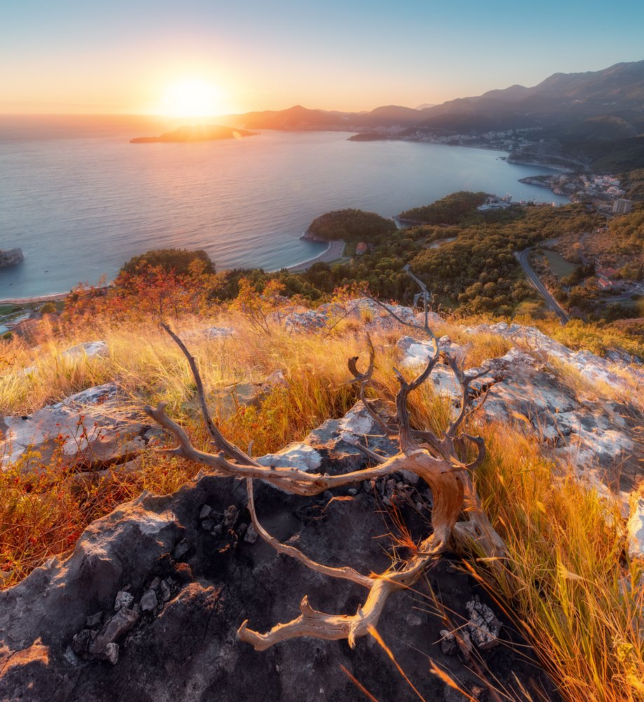 Photograph by Алексей Бойко