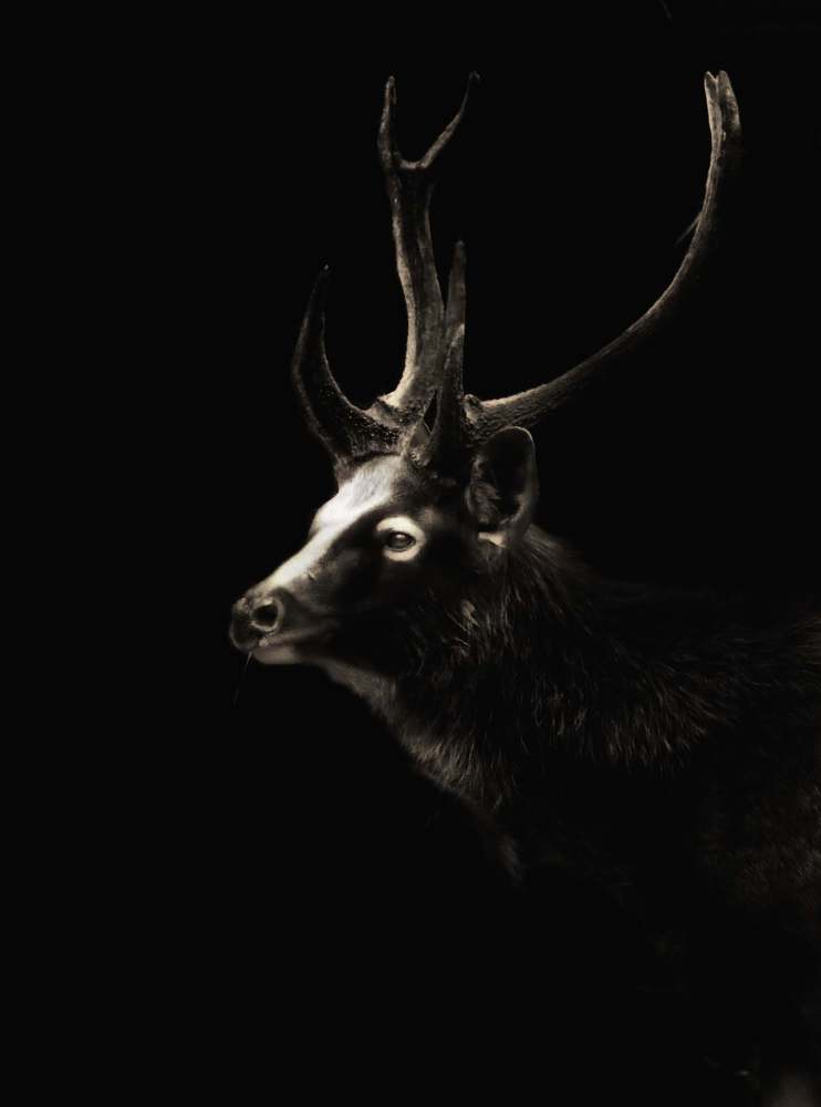 Photograph by Madhurya Mozumder