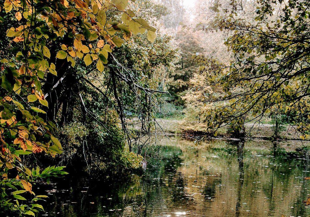 Photograph by Ольга Хромова