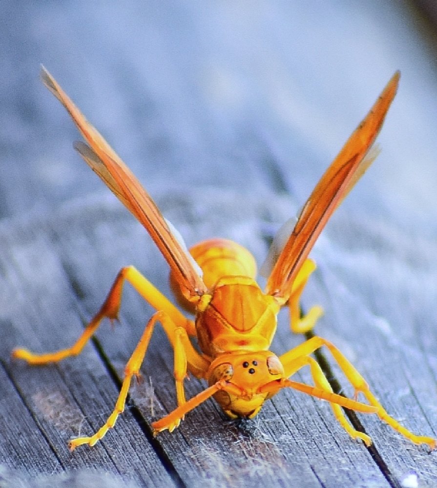 Photograph by AJAY KUMAR