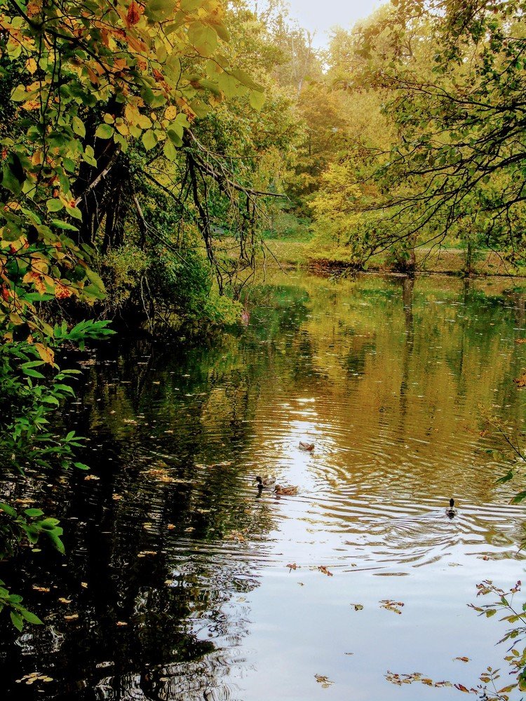 Photograph by Ольга Хромова