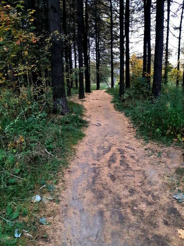 Photograph by Ольга Хромова