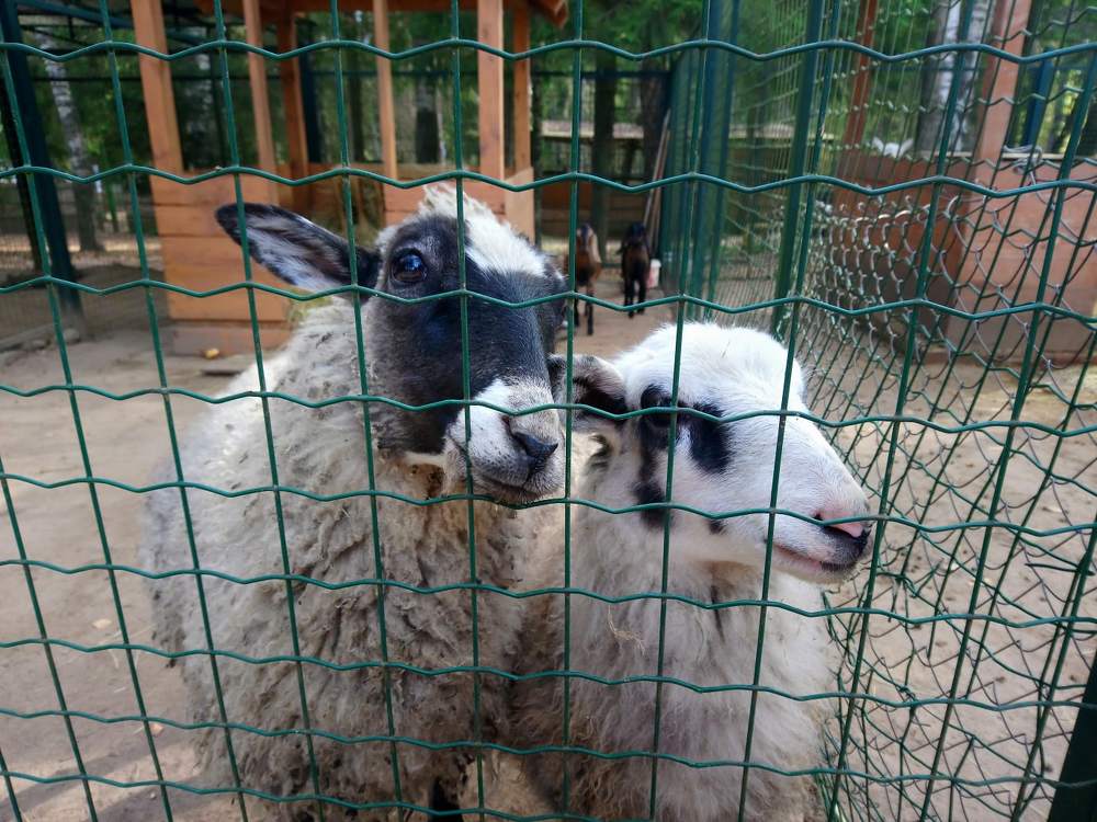 Фотография автора Марина Верина