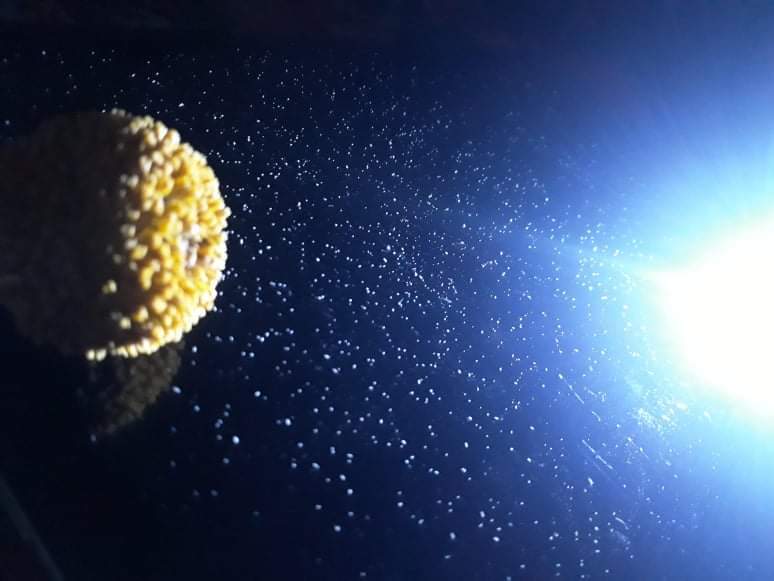Photo #5247710