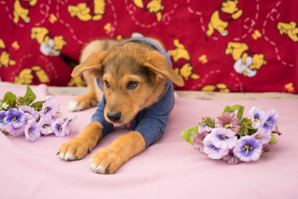 Фотография автора Марина Верина