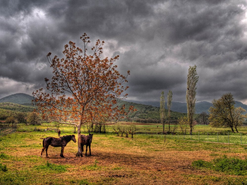 Фотография автора Giorgos Sarnatzidis