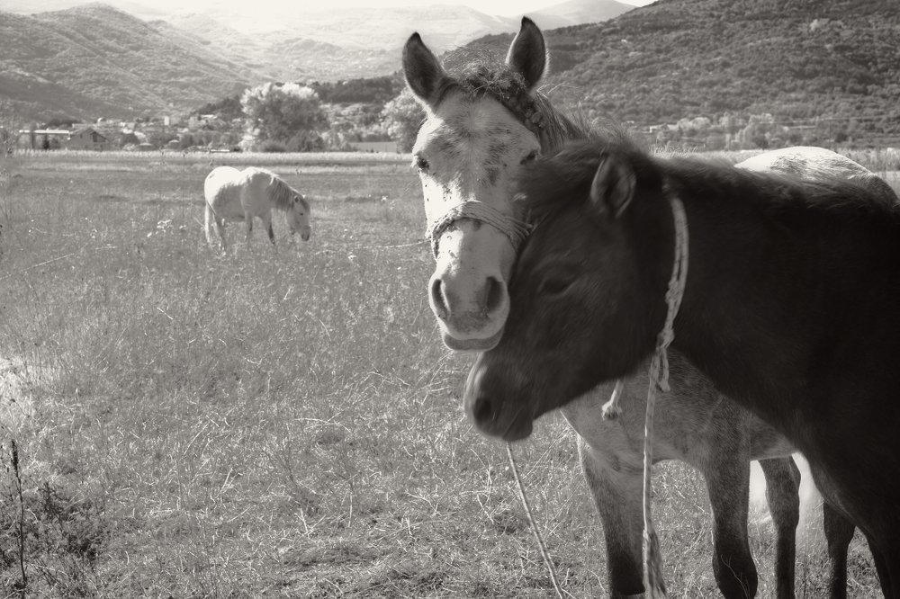 Фотография автора Giorgos Sarnatzidis