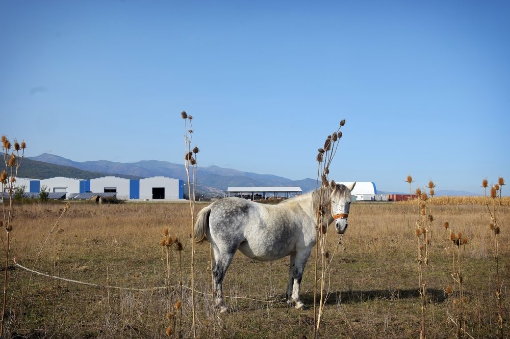 Фотография автора Giorgos Sarnatzidis