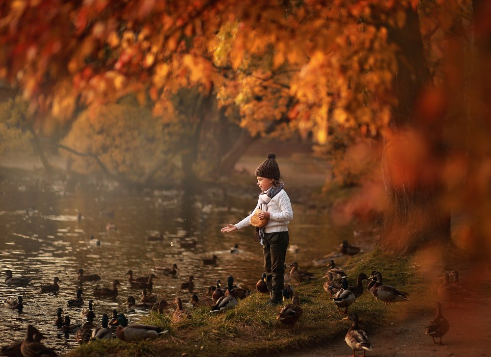 Фотография автора Ольга Котова