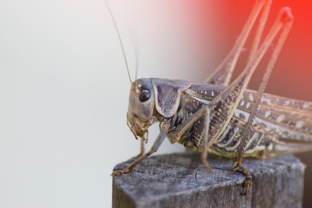 Фотография автора Giorgos Sarnatzidis