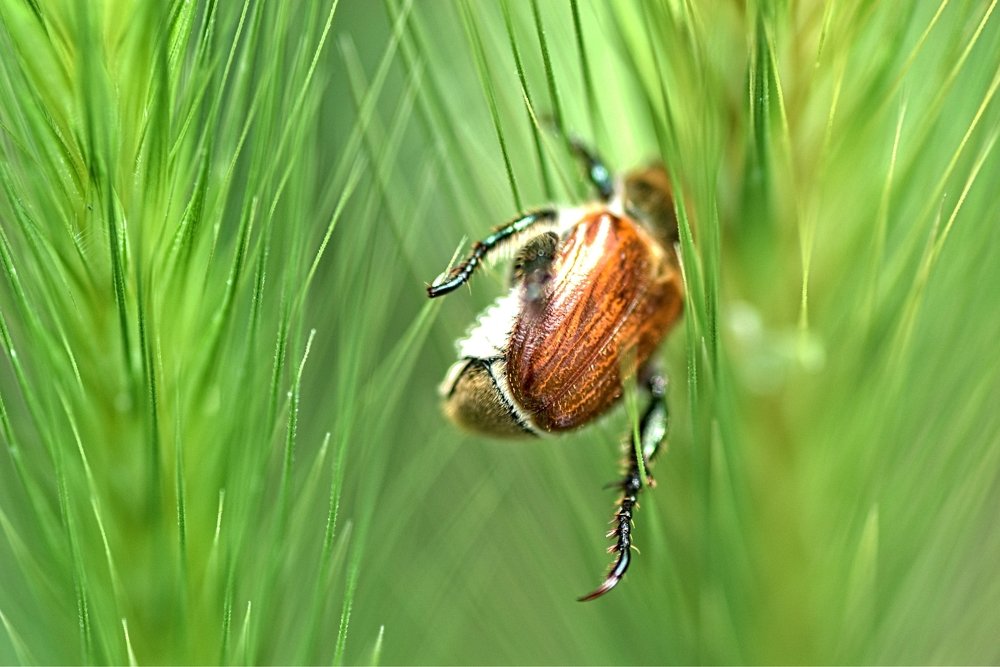 Фотография автора Giorgos Sarnatzidis