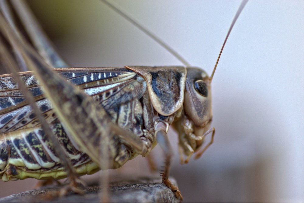 Фотография автора Giorgos Sarnatzidis