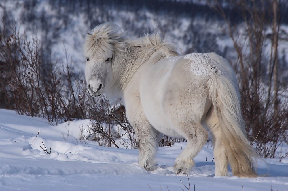Photograph by Александр Велигура