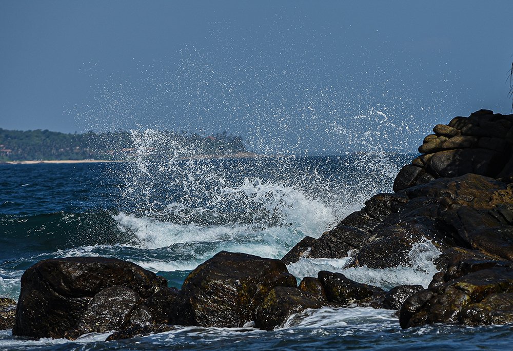 Photograph by chandima roshan