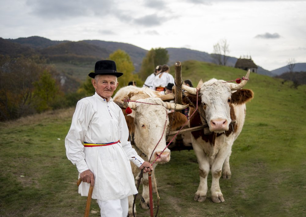 Photograph by George Alexandru