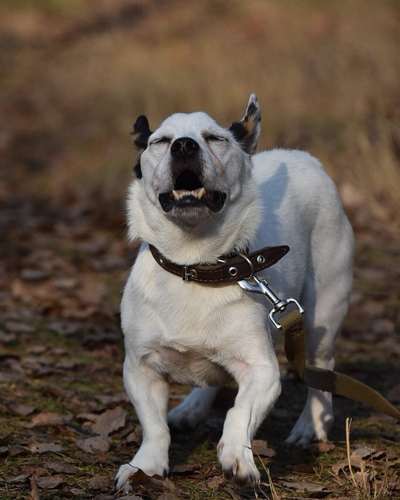 Photograph by Марина Корреа Ластра