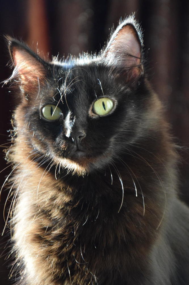 Photograph by Марина Корреа Ластра