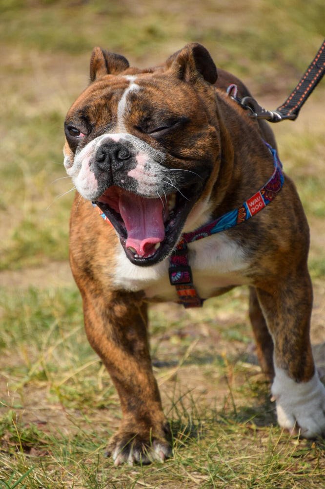 Photograph by Марина Корреа Ластра