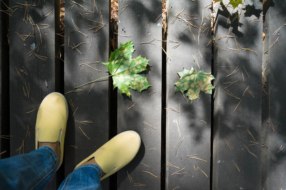 Фотография автора Марина Верина