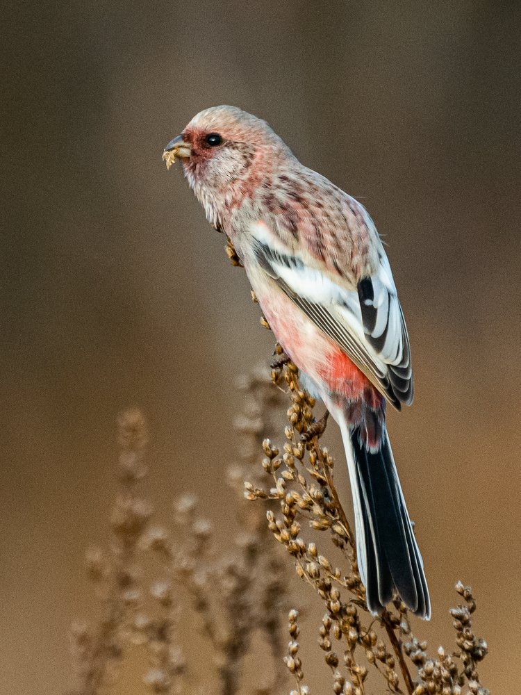 Photograph by Анастасия Попельская