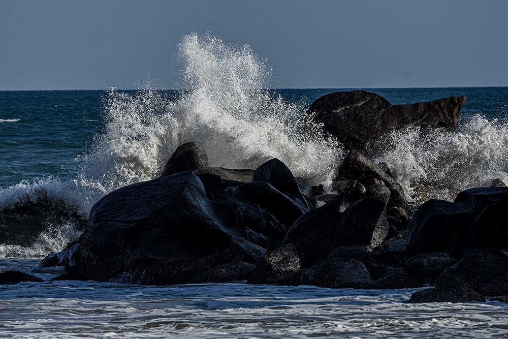 Photograph by chandima roshan