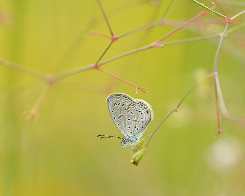 Photograph by Benjamine Dharashan