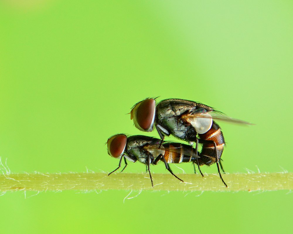 Photograph by Benjamine Dharashan