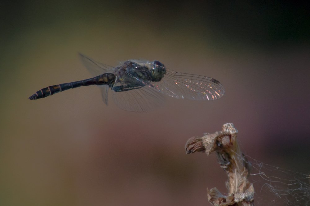 Photograph by Виктор Матаев