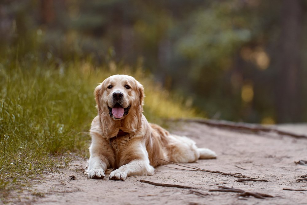Photograph by Вероника Саратовцева