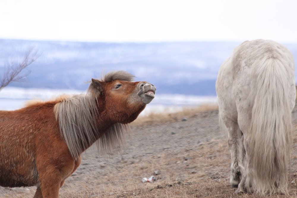 Photograph by Александр Велигура